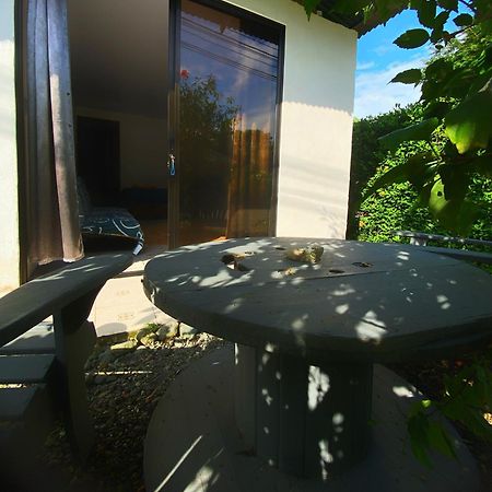 Anluka Estudio Puerto Jiménez Extérieur photo